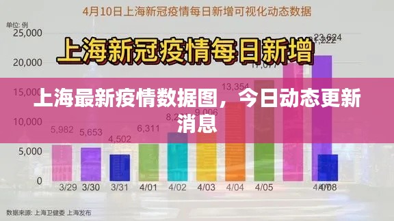 上海最新疫情数据图，今日动态更新消息