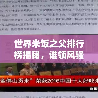 世界米饭之父排行榜揭秘，谁领风骚？