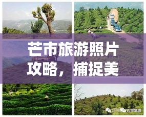 芒市旅游照片攻略，捕捉美丽瞬间的艺术之旅探索