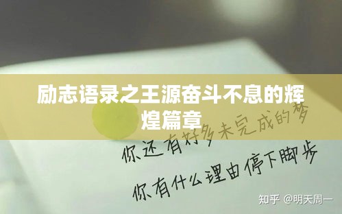 励志语录之王源奋斗不息的辉煌篇章