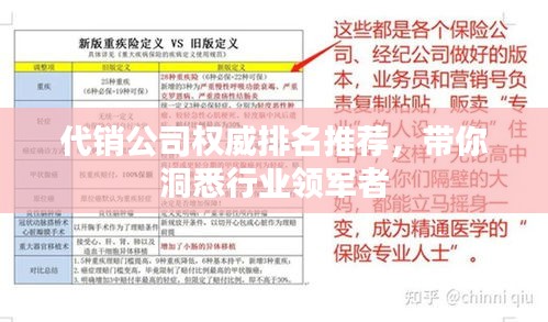 代销公司权威排名推荐，带你洞悉行业领军者