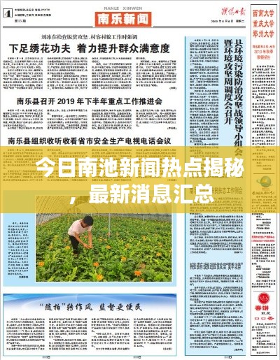 今日南池新闻热点揭秘，最新消息汇总