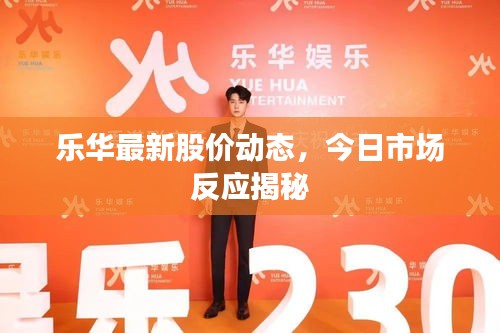 乐华最新股价动态，今日市场反应揭秘
