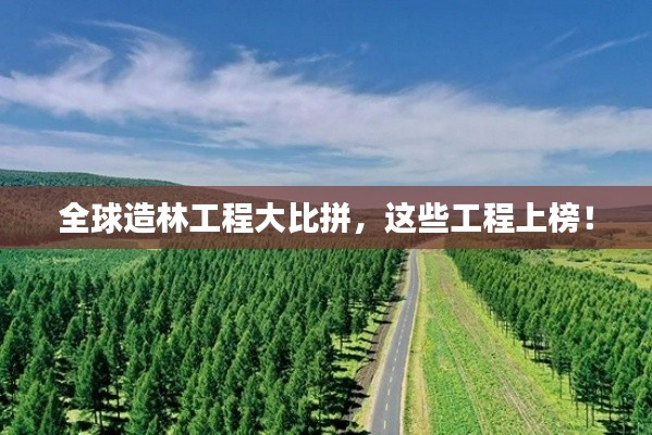 全球造林工程大比拼，这些工程上榜！