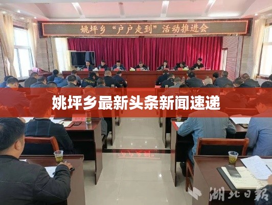 姚坪乡最新头条新闻速递