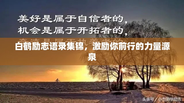 白鹤励志语录集锦，激励你前行的力量源泉