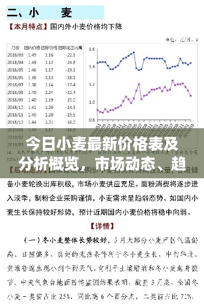 今日小麦最新价格表及分析概览，市场动态、趋势预测一网打尽