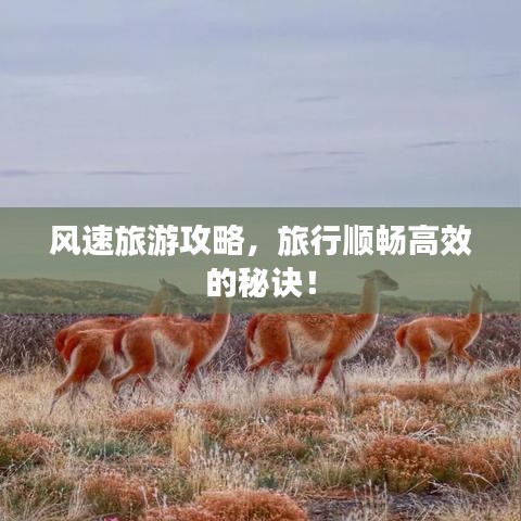 风速旅游攻略，旅行顺畅高效的秘诀！