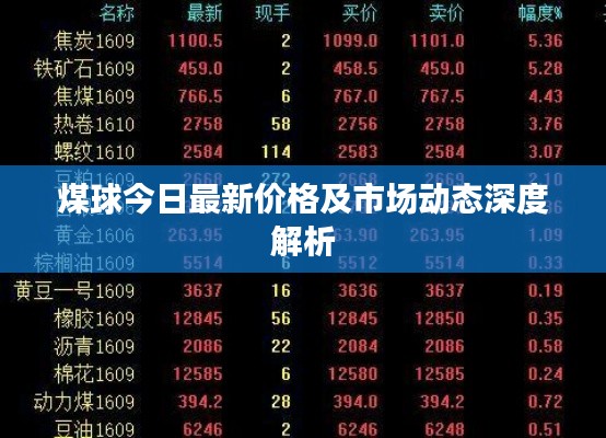 煤球今日最新价格及市场动态深度解析