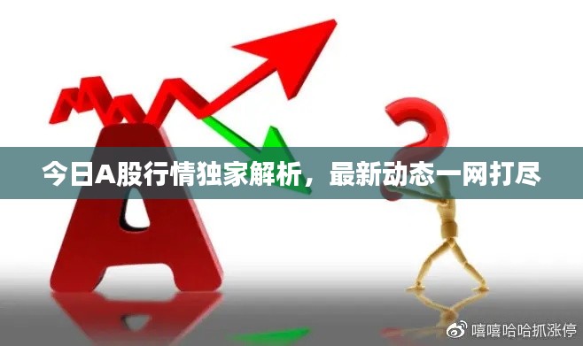 今日A股行情独家解析，最新动态一网打尽