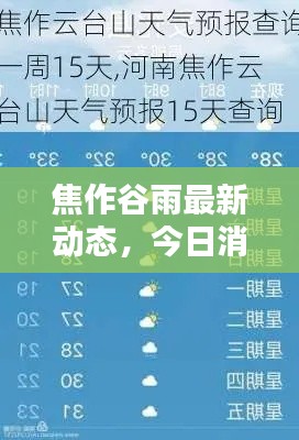 焦作谷雨最新动态，今日消息一网打尽！
