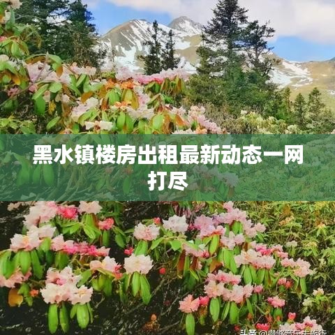 黑水镇楼房出租最新动态一网打尽