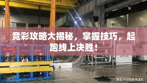 竞彩攻略大揭秘，掌握技巧，起跑线上决胜！