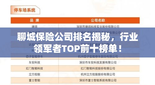聊城保险公司排名揭秘，行业领军者TOP前十榜单！