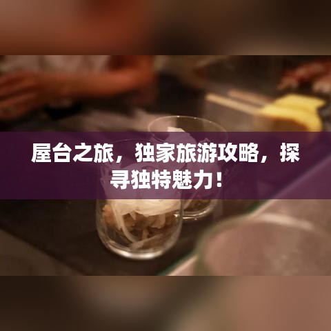 屋台之旅，独家旅游攻略，探寻独特魅力！