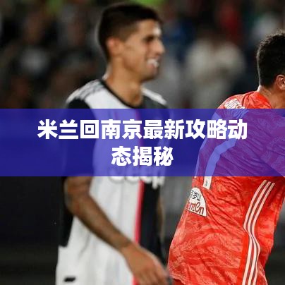 米兰回南京最新攻略动态揭秘