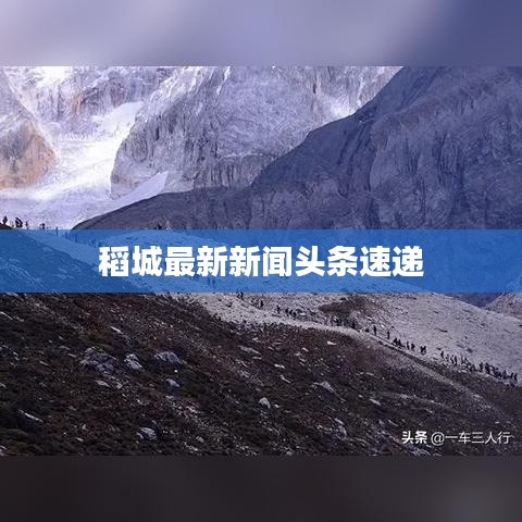 稻城最新新闻头条速递