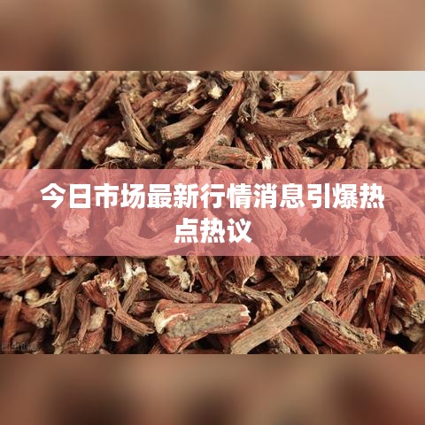 今日市场最新行情消息引爆热点热议
