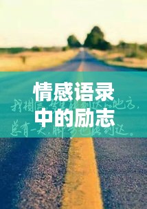 情感语录中的励志力量，激励人心的励志语句