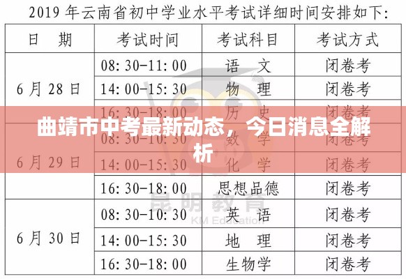 曲靖市中考最新动态，今日消息全解析