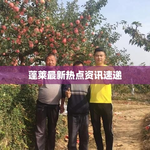 蓬莱最新热点资讯速递
