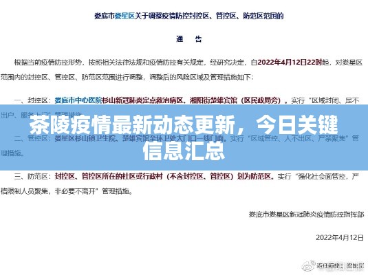 茶陵疫情最新动态更新，今日关键信息汇总