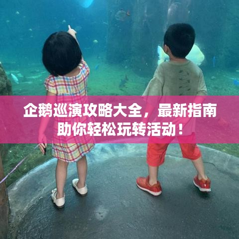 企鹅巡演攻略大全，最新指南助你轻松玩转活动！