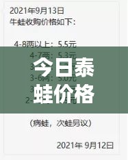 今日泰蛙价格行情一览，最新消息全掌握