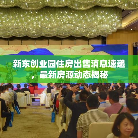新东创业园住房出售消息速递，最新房源动态揭秘