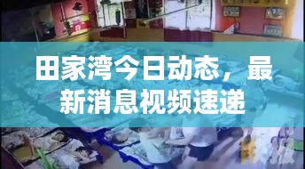 田家湾今日动态，最新消息视频速递