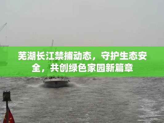芜湖长江禁捕动态，守护生态安全，共创绿色家园新篇章
