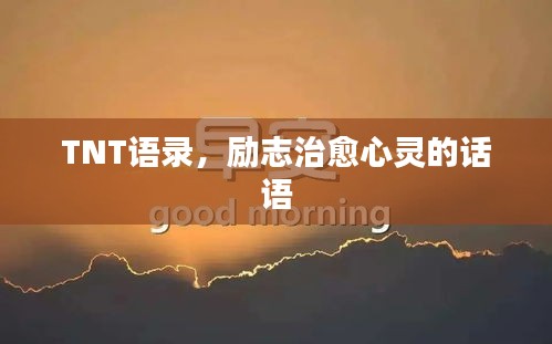 TNT语录，励志治愈心灵的话语