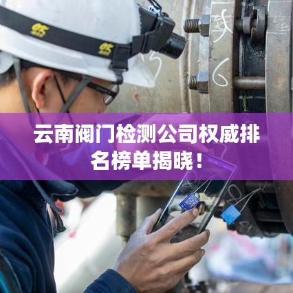 云南阀门检测公司权威排名榜单揭晓！