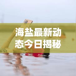 海盐最新动态今日揭秘