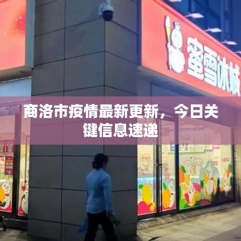商洛市疫情最新更新，今日关键信息速递