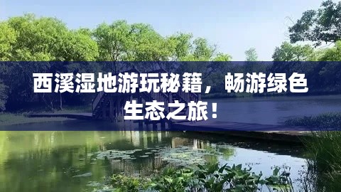 西溪湿地游玩秘籍，畅游绿色生态之旅！