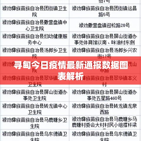 寻甸今日疫情最新通报数据图表解析