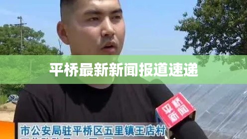平桥最新新闻报道速递