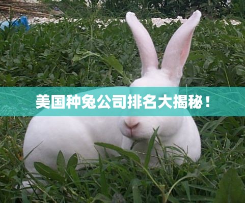 美国种兔公司排名大揭秘！