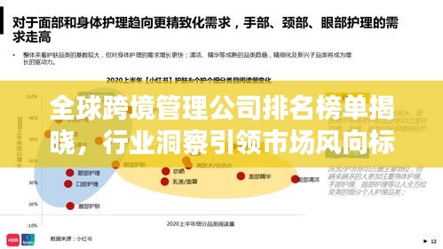 全球跨境管理公司排名榜单揭晓，行业洞察引领市场风向标！