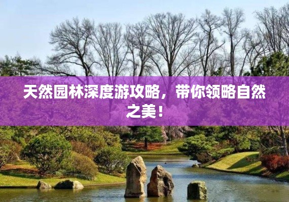天然园林深度游攻略，带你领略自然之美！