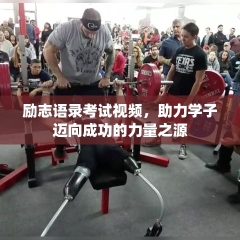 励志语录考试视频，助力学子迈向成功的力量之源