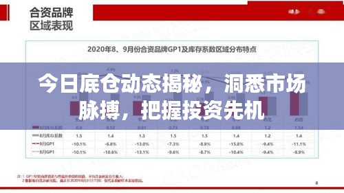 今日底仓动态揭秘，洞悉市场脉搏，把握投资先机