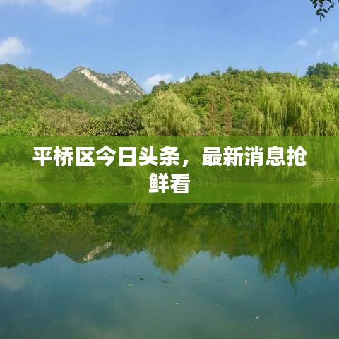 平桥区今日头条，最新消息抢鲜看