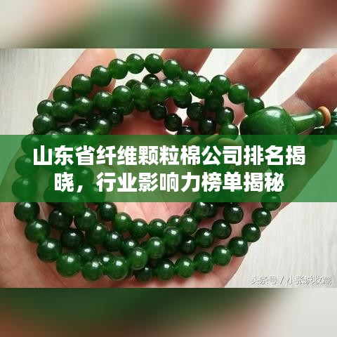 山东省纤维颗粒棉公司排名揭晓，行业影响力榜单揭秘