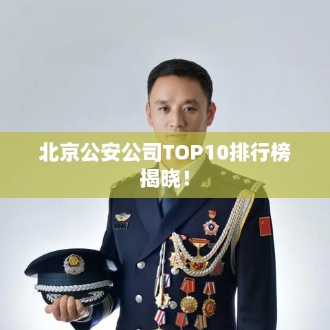 北京公安公司TOP10排行榜揭晓！