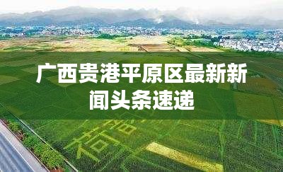 广西贵港平原区最新新闻头条速递