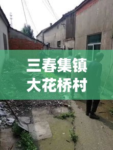 三春集镇大花桥村拆迁进展，最新消息揭秘！