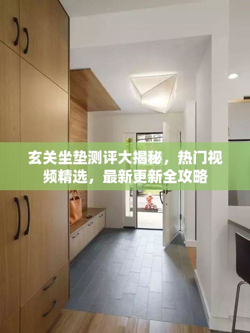 玄关坐垫测评大揭秘，热门视频精选，最新更新全攻略