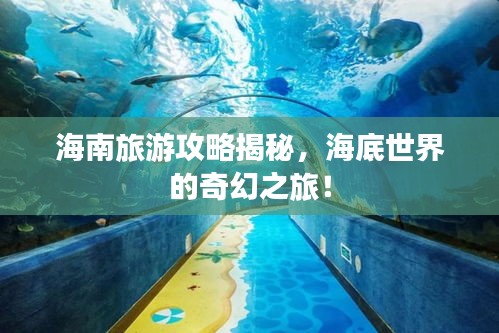 海南旅游攻略揭秘，海底世界的奇幻之旅！